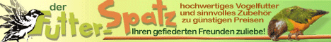 Der Futter-Spatz