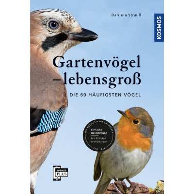 Gartenvgel lebensgro