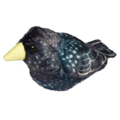 singender Star -Wild Republic-