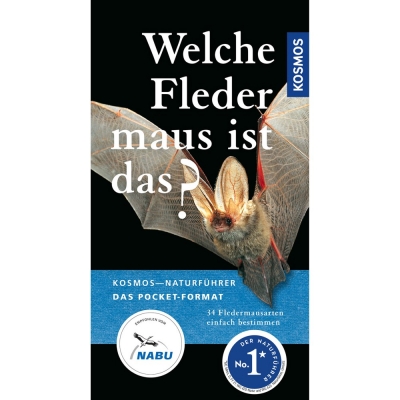 Welche Fledermaus ist das?