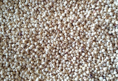 Dari wei / weier Sorgum, 1kg