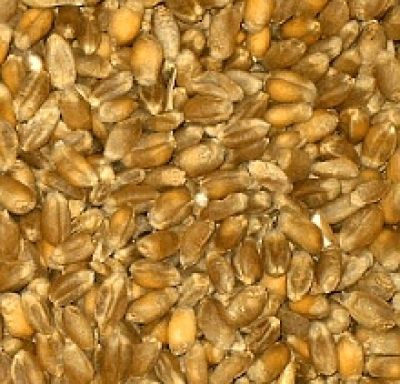 Weizen, 1kg