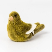 Kanarienvogel -Ksener Plschtier-