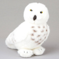 Groe Schneeeule 