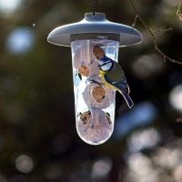 FtterungsTrio Robin; Futtersulen- und Trnken-Set