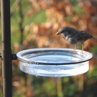 Vogelfutterstation gro