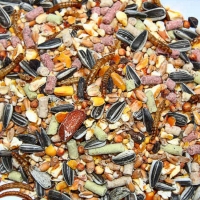 Gourmet Blend